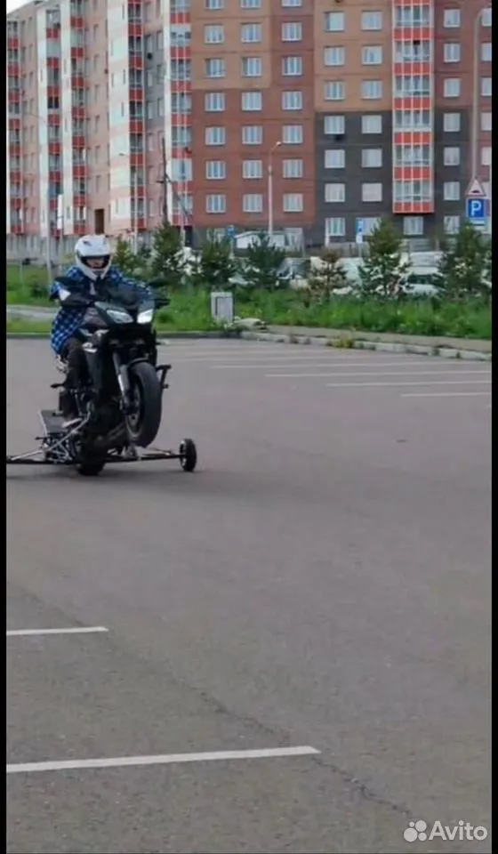 Вилли паук 5
